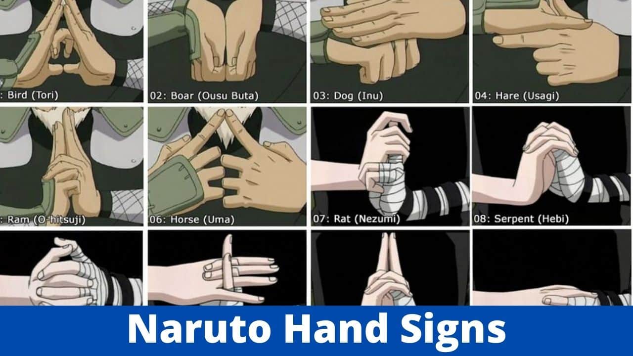 Everything You Need to Know About Naruto Hand Signs in 10 Minutes